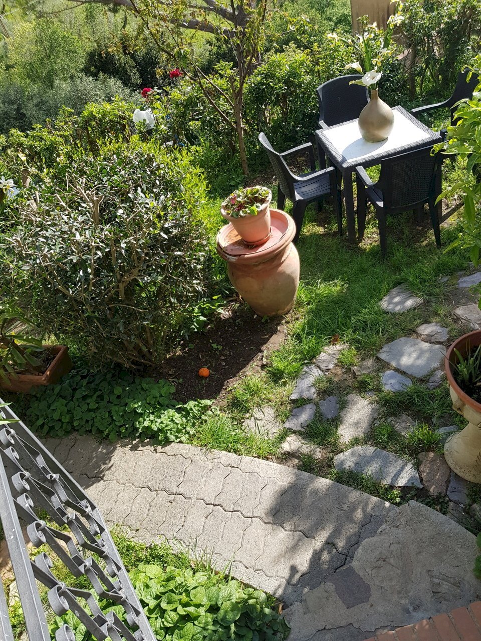 20210504_165858.jpg - Terratetto - Terracielo Calci - foto 1