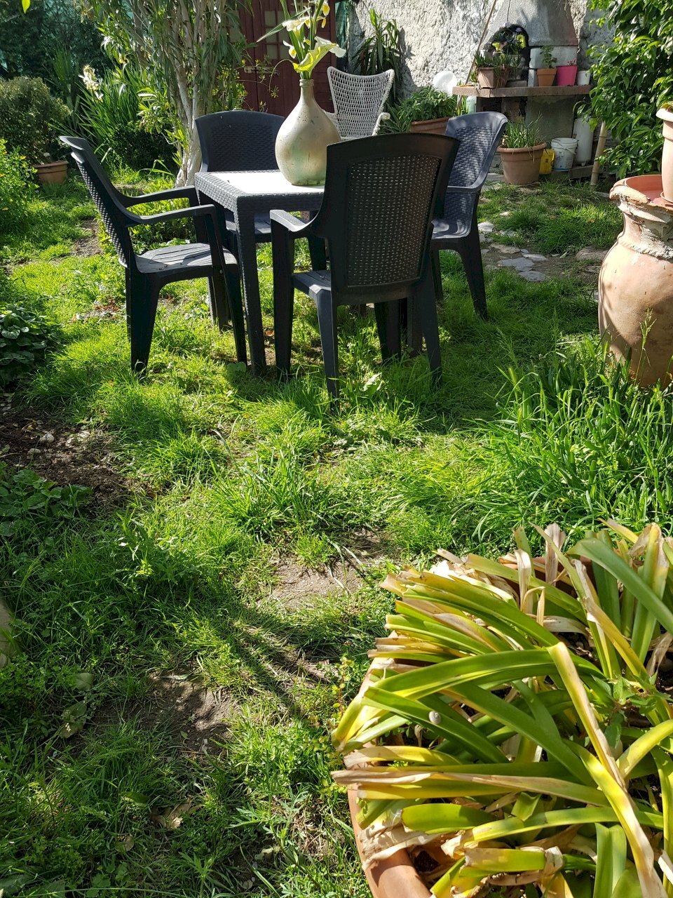 20210504_165838.jpg - Terratetto - Terracielo Calci - foto 2