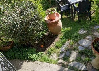 20210504_165858.jpg - Terratetto - Terracielo Calci - foto 1