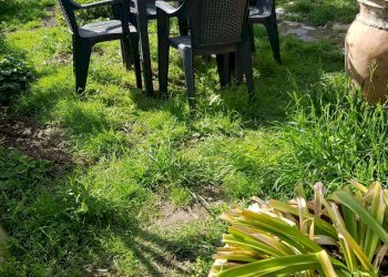 20210504_165838.jpg - Terratetto - Terracielo Calci - foto 2