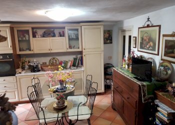 20210504_170501.jpg - Terratetto - Terracielo Calci - foto 4