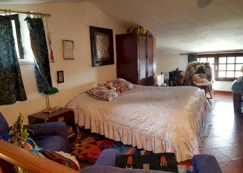 20210504_171511.jpg - Terratetto - Terracielo Calci - foto 29