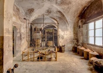 900617-oi9un55tso.jpg - Rustico Calci - foto 8