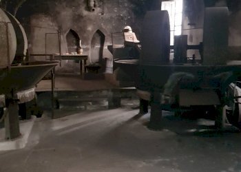 20200701_101303.jpg - Rustico Calci - foto 19