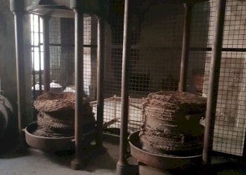 20200701_101344.jpg - Rustico Calci - foto 20