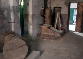 20200701_101447.jpg - Rustico Calci - foto 21