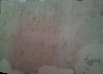 20200701_103232.jpg - Rustico Calci - foto 23