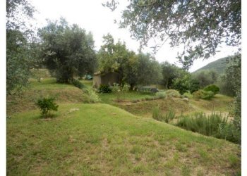 6.jpg - Rustic Calci - photo 6