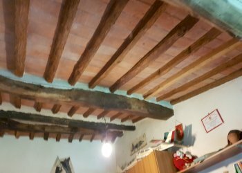 20200608_121328.jpg - Villa Calci - foto 15