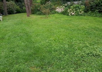 20200608_122244.jpg - Villa Calci - foto 29