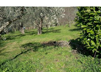 20200214_113009.jpg - Villa Calci - photo 2