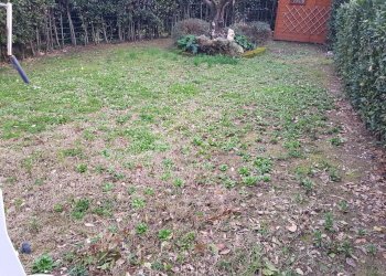 20200211_173352.jpg - Villa Calci - photo 9