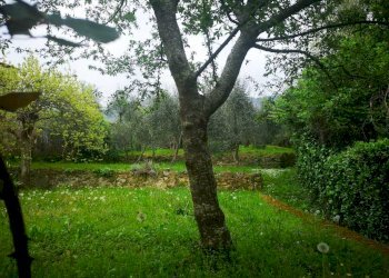 14370.jpg - Villa Calci - photo 22