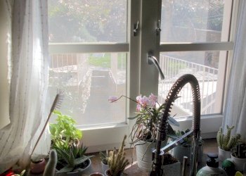 P1-21.JPG - Rustico Calci - foto 17