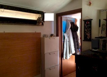 52482076_2178456862405527_992766868538261504_n.jpg - Appartamento Calci - foto 20