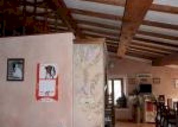 491494-m242jh.jpg - Villa Calci - foto 8