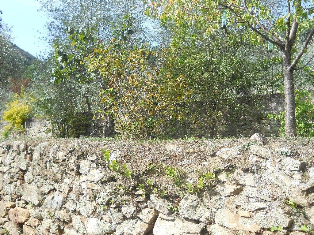 watermark0XU05LQ6.jpg - Villa Calci - photo 2