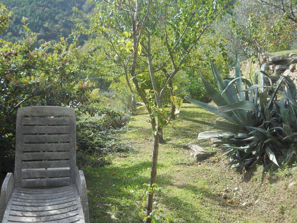 watermark1A5585I2.jpg - Villa Calci - photo 3