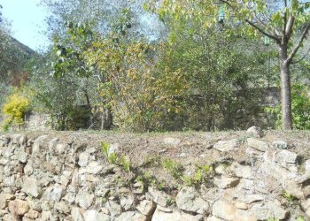 watermark0XU05LQ6.jpg - Villa Calci - foto 2