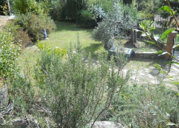 watermark6OY7G536.jpg - Villa Calci - foto 7