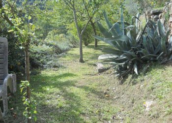 watermark11947OCR.jpg - Villa Calci - foto 12