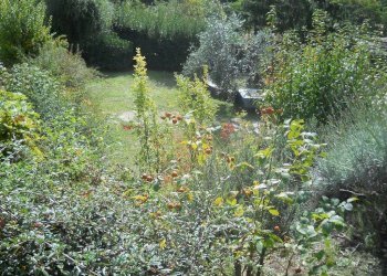 watermarkK711IP7S.jpg - Villa Calci - foto 22