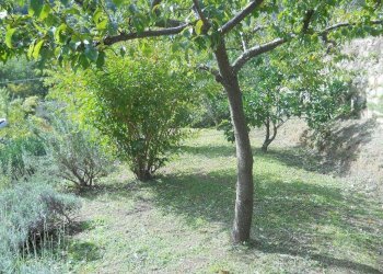 watermarkLPA9H96E.jpg - Villa Calci - foto 23