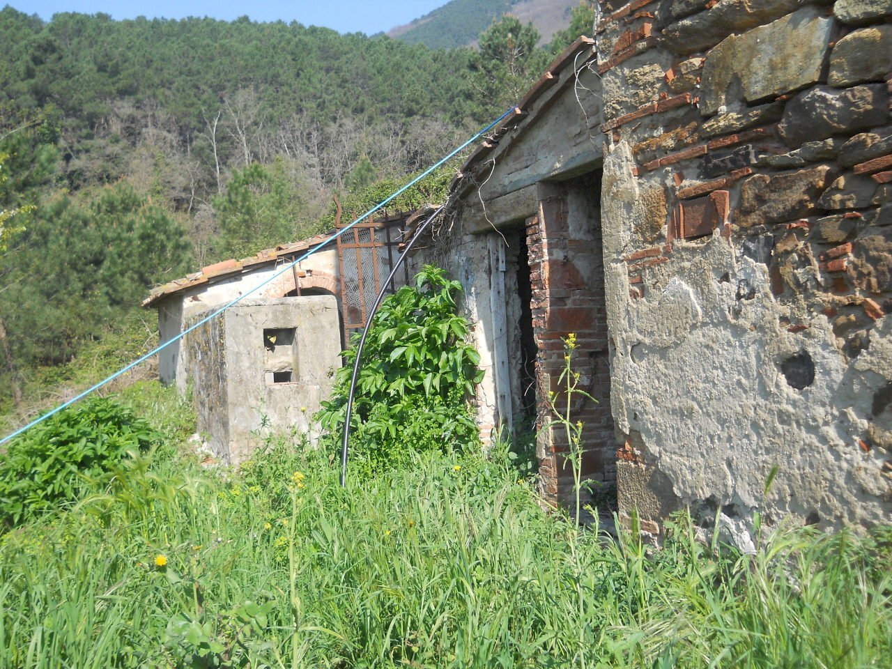 Immagine 064.jpg - Rustico Calci - foto 2