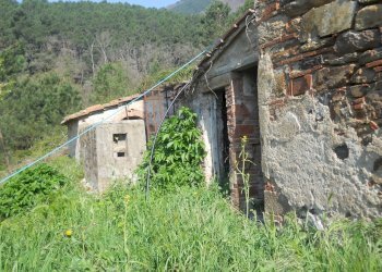 Immagine 064.jpg - Rustico Calci - foto 2