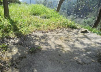 Immagine 071.jpg - Rustico Calci - foto 8