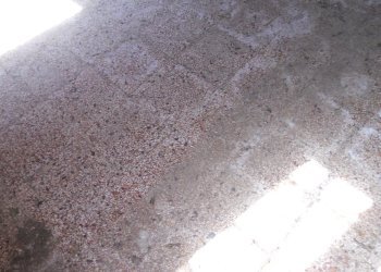 Immagine 076.jpg - Rustico Calci - foto 13