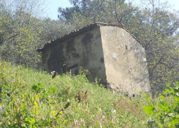 Immagine 082.jpg - Rustico Calci - foto 18