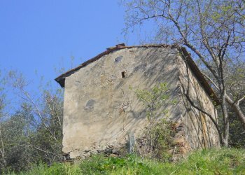 Immagine 083.jpg - Rustico Calci - foto 19