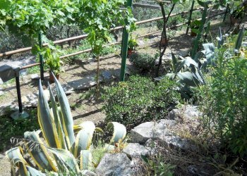 watermarkNO3785MA.jpg - Villa Calci - photo 11