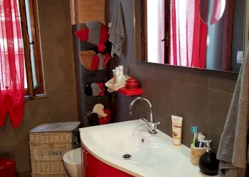 20200219_102109.jpg - Appartamento Calci - foto 6