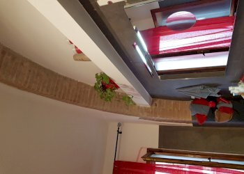 20200219_102121.jpg - Appartamento Calci - foto 7