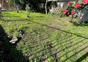 1c85495e-27fc-4291-83d9-1a1690c81b0b.jpg - Independent house Carrara - photo 2