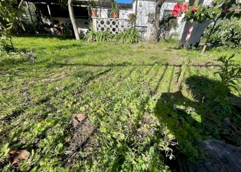 439a3bff-ac31-4faa-9872-fc5d274b6612.jpg - Independent house Carrara - photo 6