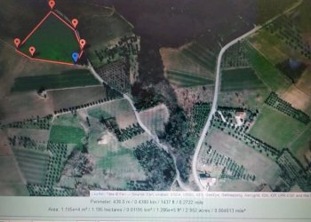 216828243_10159445800382208_8304305321207643802_n. - Terreno agricolo VIALE MAIELLA, Miglianico - foto 4