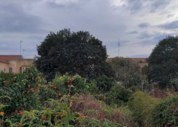 Casa indipendente Torregrotta - foto 2