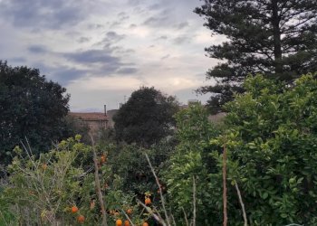 Casa indipendente Torregrotta - foto 12