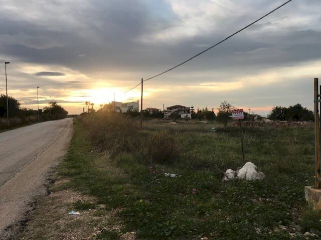 Terreno agricolo Contrada Pilarossa, San Nicandro Garganico - foto 2