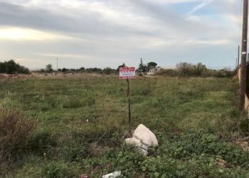 Terreno agricolo Contrada Pilarossa, San Nicandro Garganico - foto 1