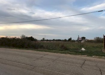 Terreno agricolo Contrada Pilarossa, San Nicandro Garganico - foto 3