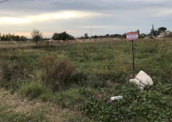 Terreno agricolo Contrada Pilarossa, San Nicandro Garganico - foto 5