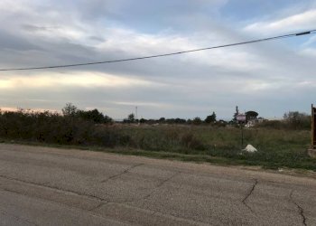 Terreno agricolo Contrada Pilarossa, San Nicandro Garganico - foto 6