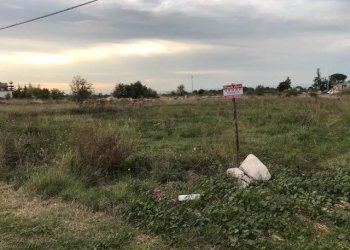 Terreno agricolo Contrada Pilarossa, San Nicandro Garganico - foto 7