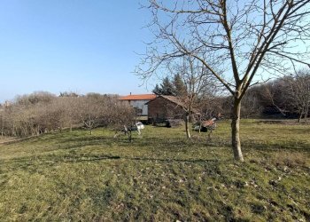 Rustico SP4, Bruno - foto 3