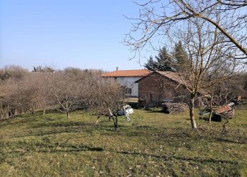 Rustico SP4, Bruno - foto 9