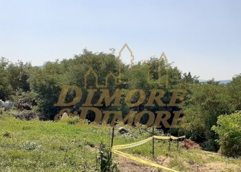 20220804_113054_resized.jpg - Terreno edificabile via vigne basse, Verbania - foto 4